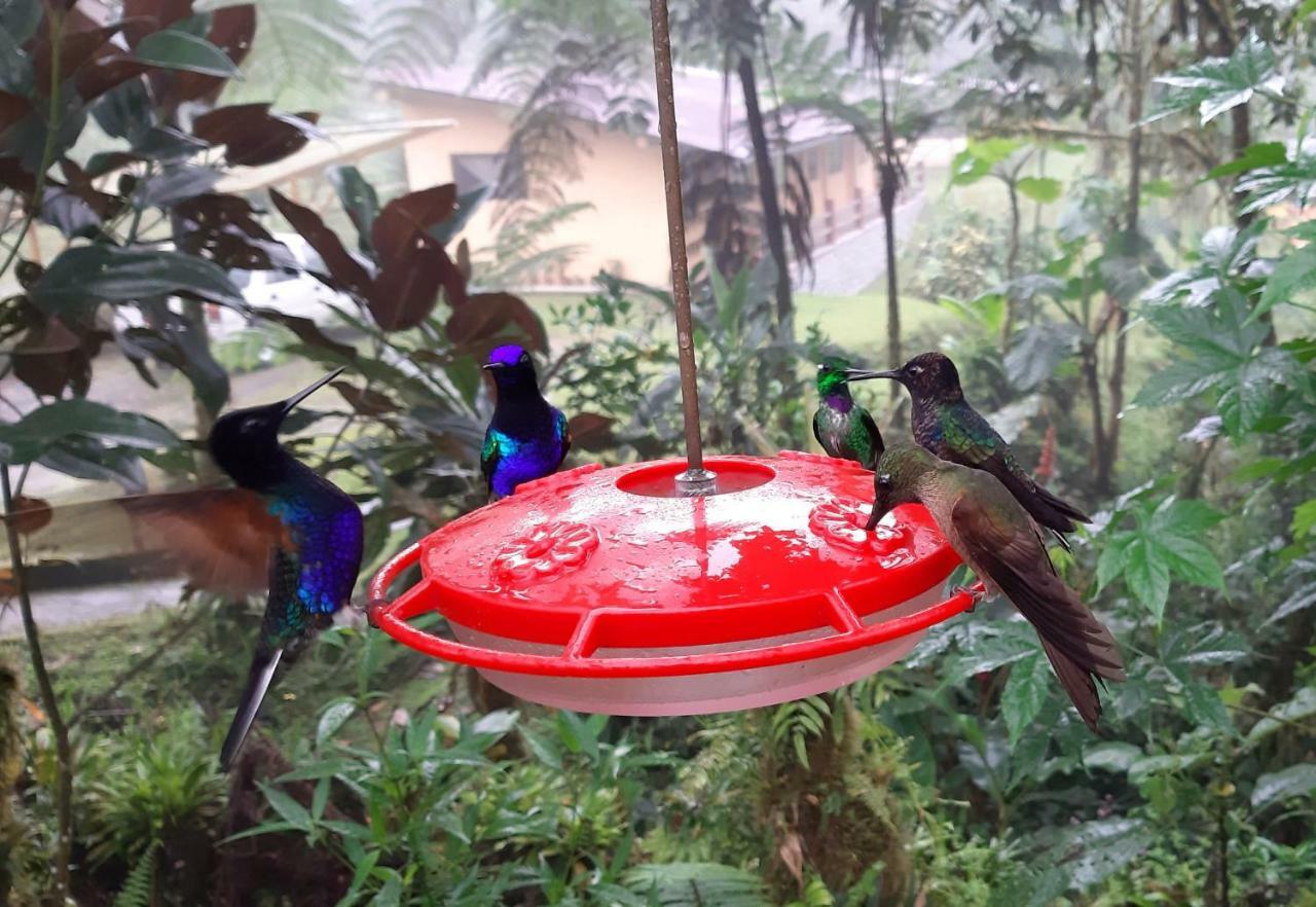 Mindo Loma Bird Lodge Εξωτερικό φωτογραφία